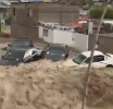 Olas Altas en Juaritos
